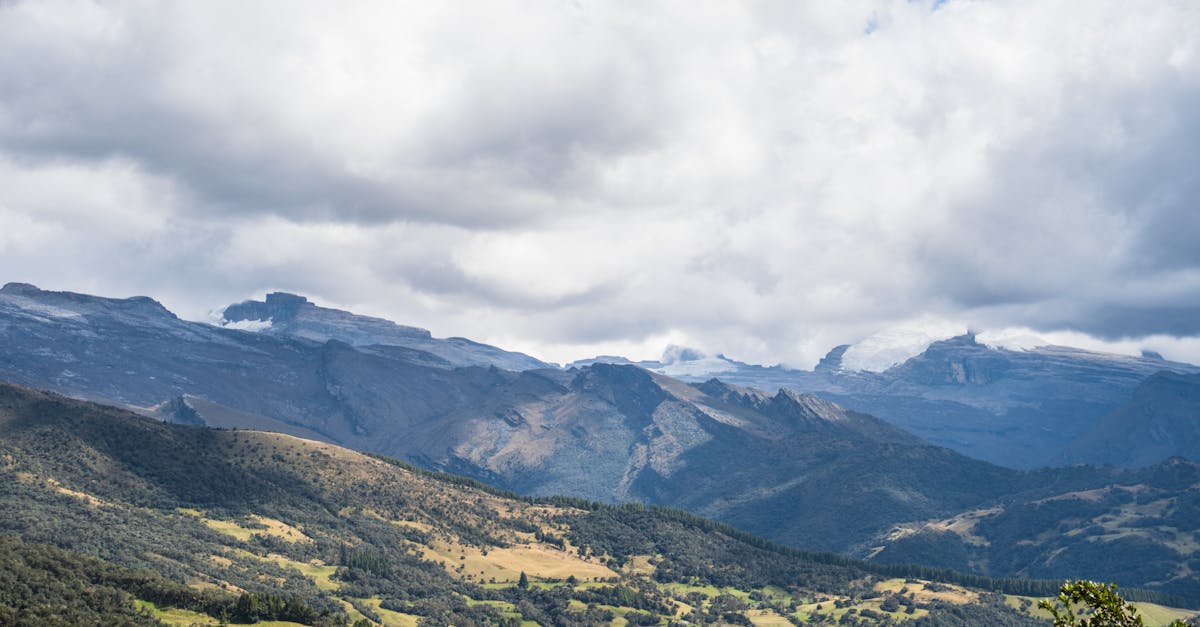 Benefits of Collaborating with Local Rubbish Removal Services for Builders