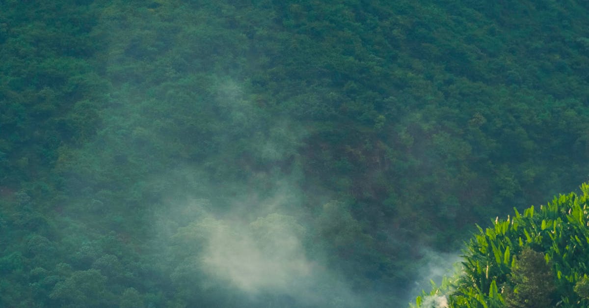 Engaging Schools in Composting Initiatives