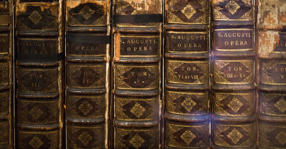 Essential Steps for a Successful Office Relocation and Rubbish Removal