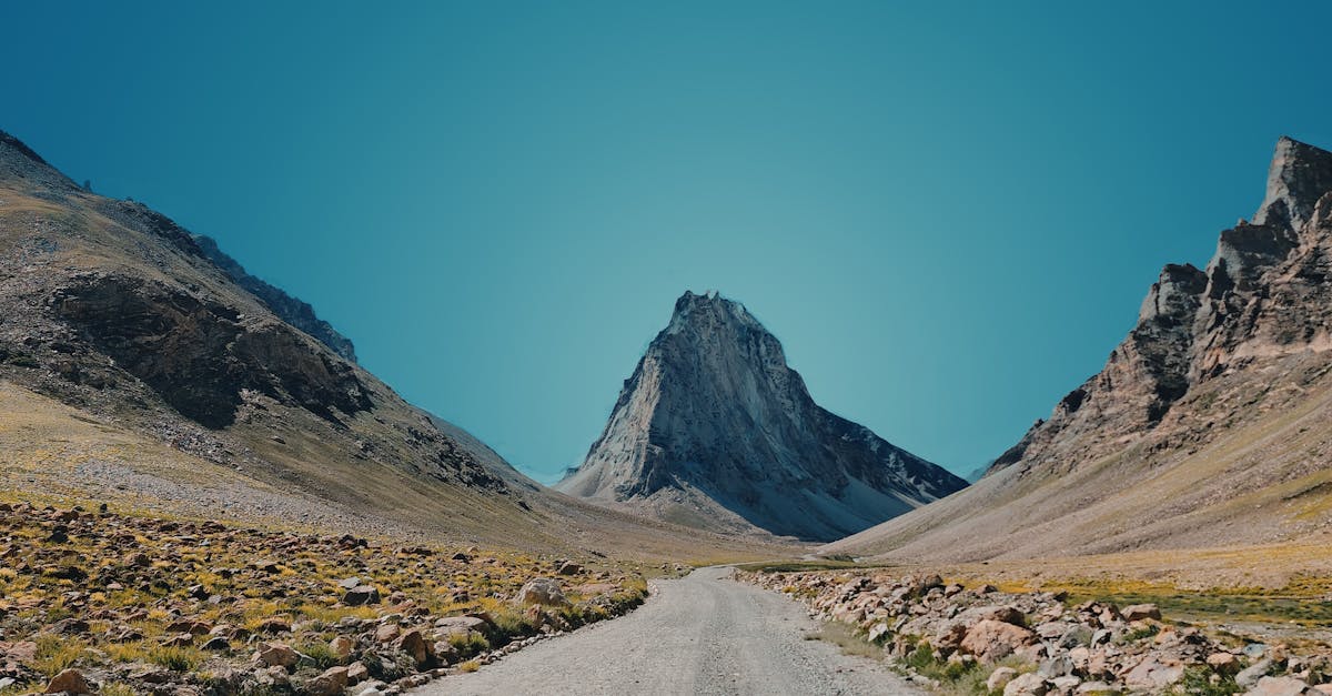 How to Choose the Right Office Clearance Service in Brisbane