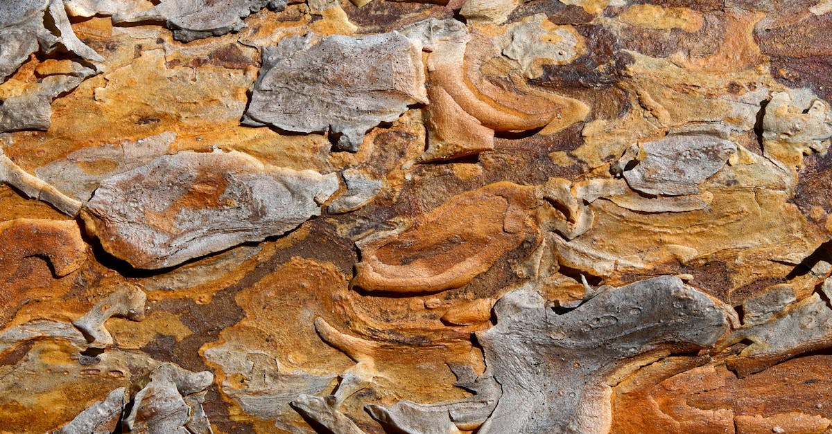 How to Start a Compost Bin in Your Backyard