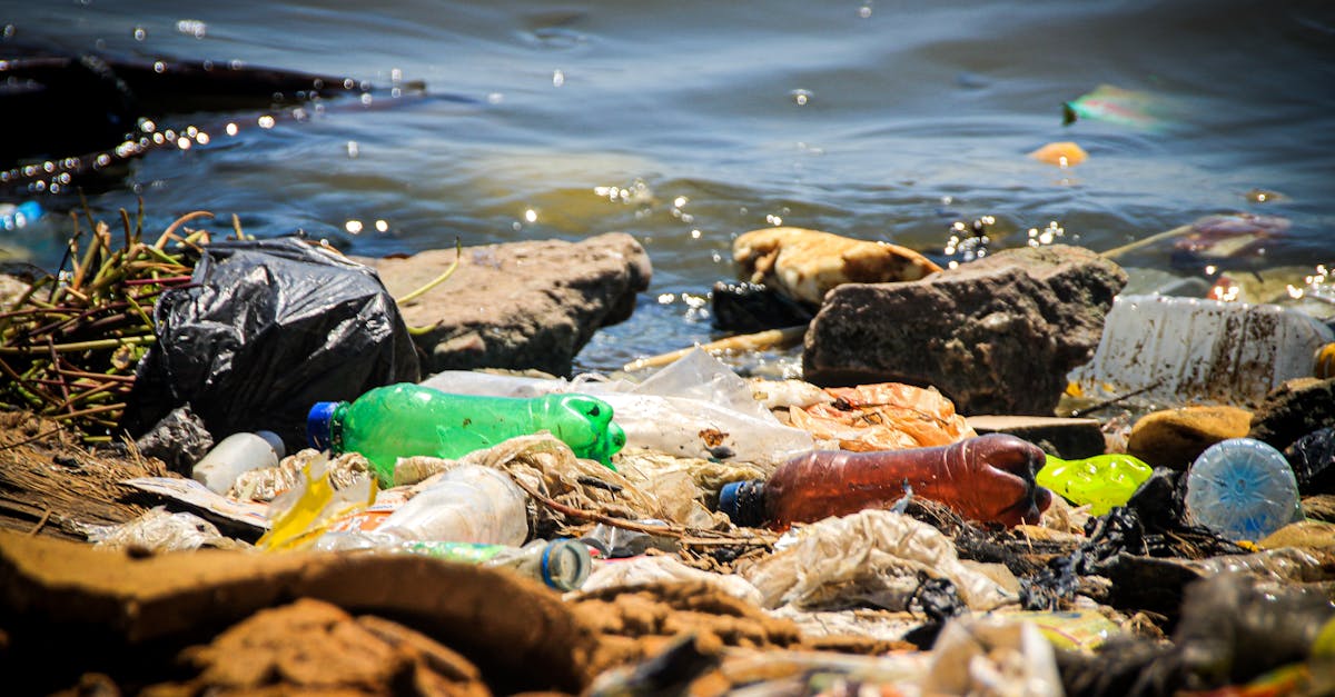 Innovative Technologies in E-Waste Recycling