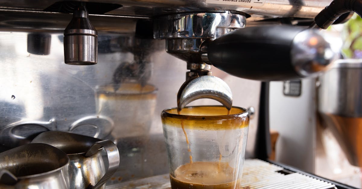 Reducing Environmental Impact: Waste Solutions for Brisbane Events