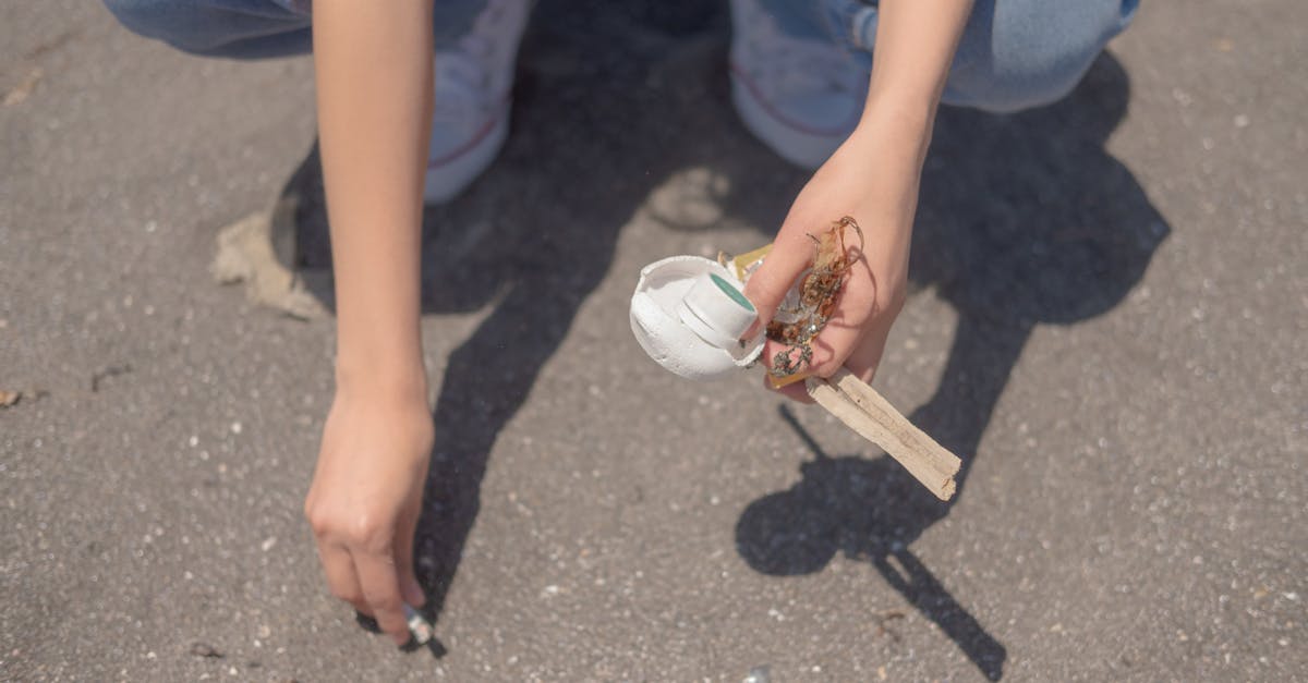 Seasonal Clean-Up: Rubbish Removal Tips for Brisbane Residents