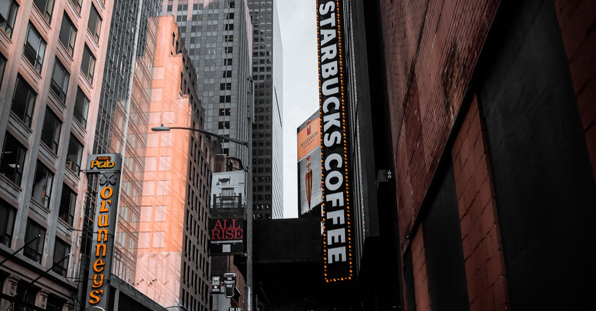 Understanding Regulations Around Office Waste Disposal in Brisbane