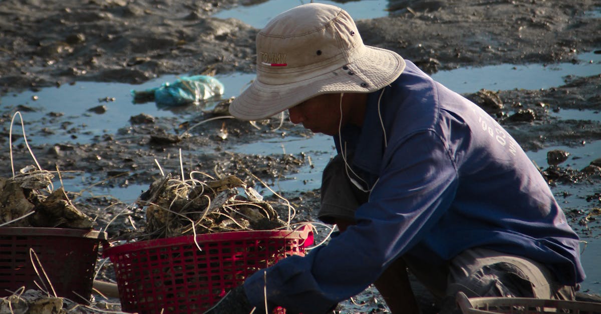 Understanding the Importance of Electronic Waste Disposal in Brisbane